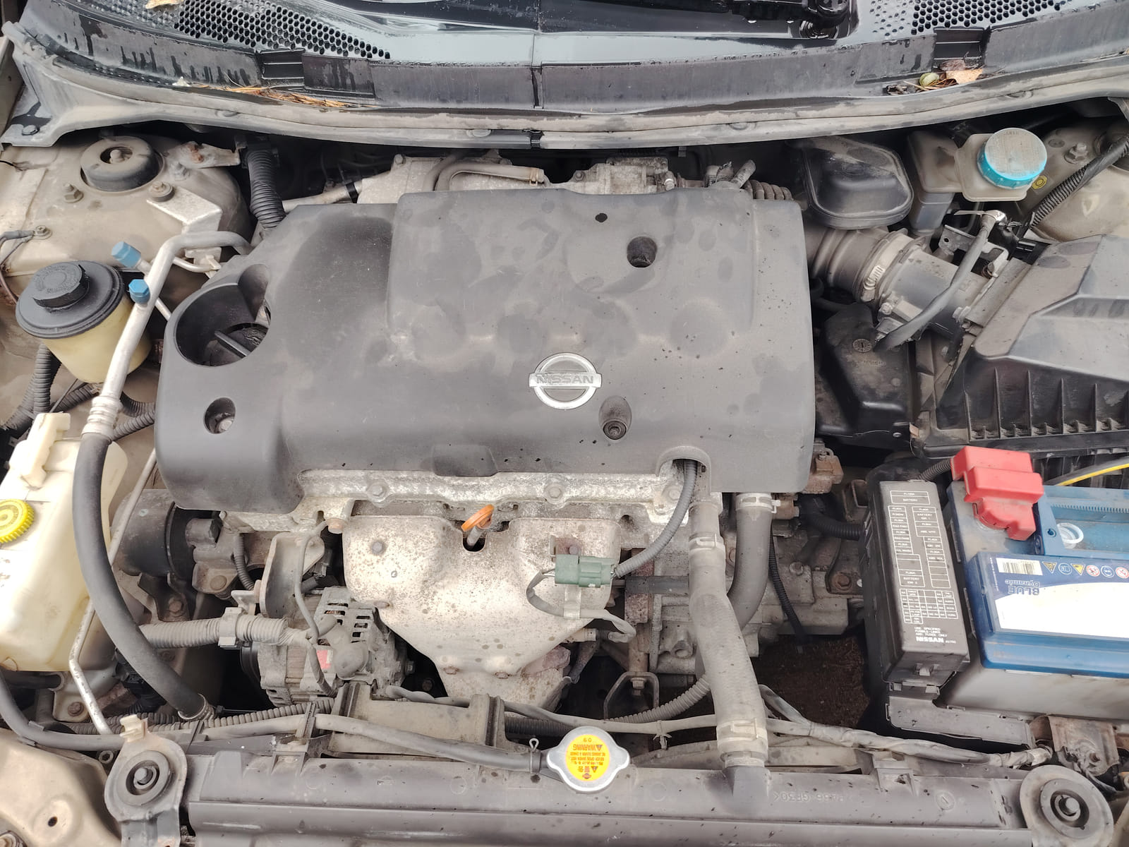 Nissan Primera
